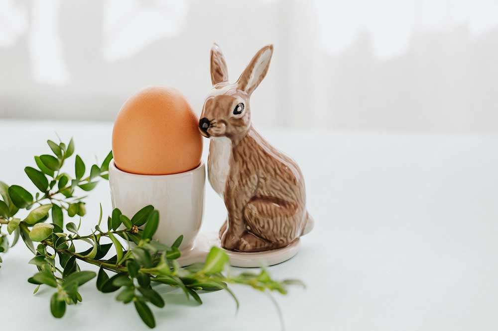zajaczek wielkanocny zajaczek wielkanocny